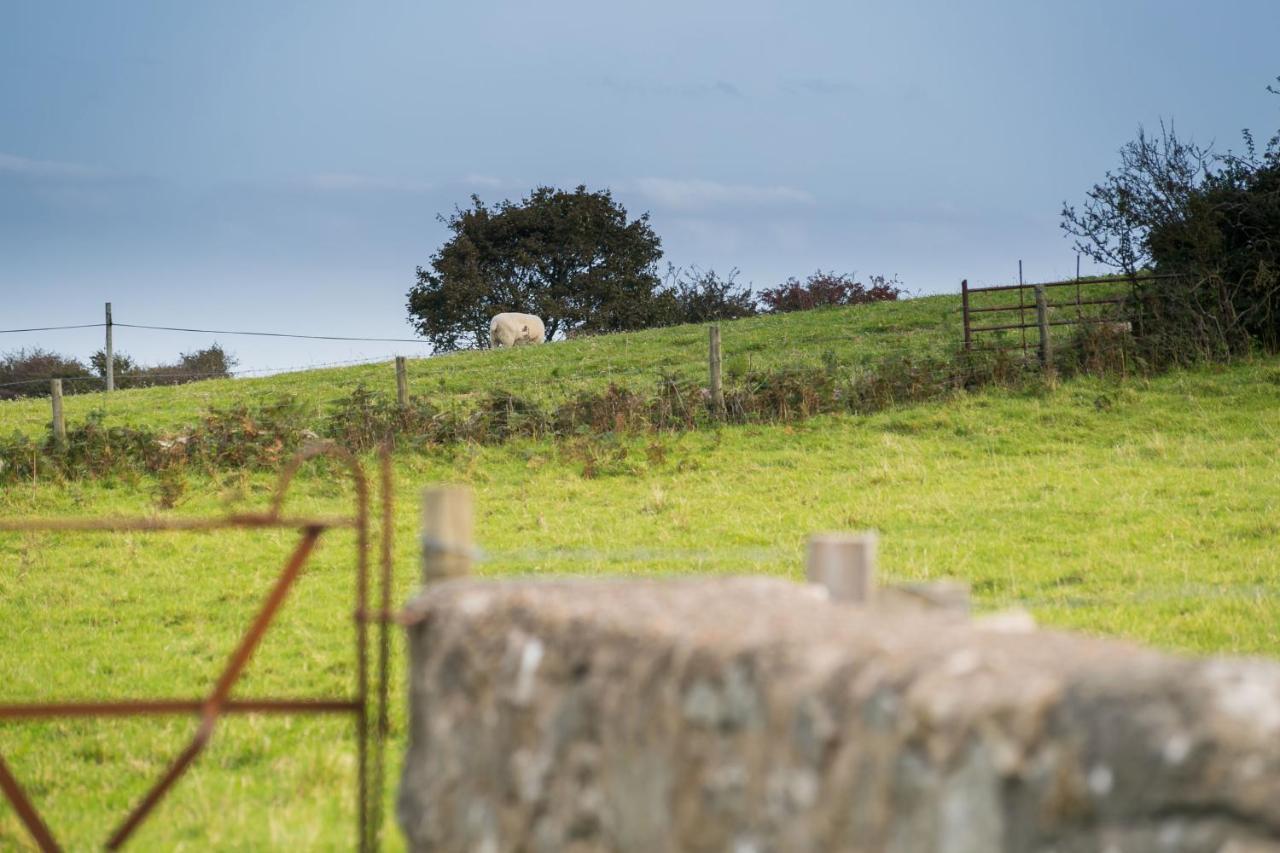 Tyn Lon Villa Moelfre Exteriör bild